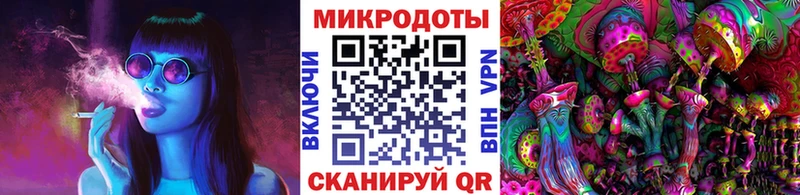 Купить где Каргат Галлюциногенные грибы MAGIC MUSHROOMS